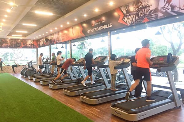 5 máy chạy bộ phòng Gym chất lượng được dùng nhiều nhất